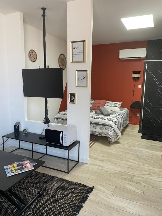 Studio Cosy Tt Confort Proche Aeroport Colombier-Saugnieu Dış mekan fotoğraf